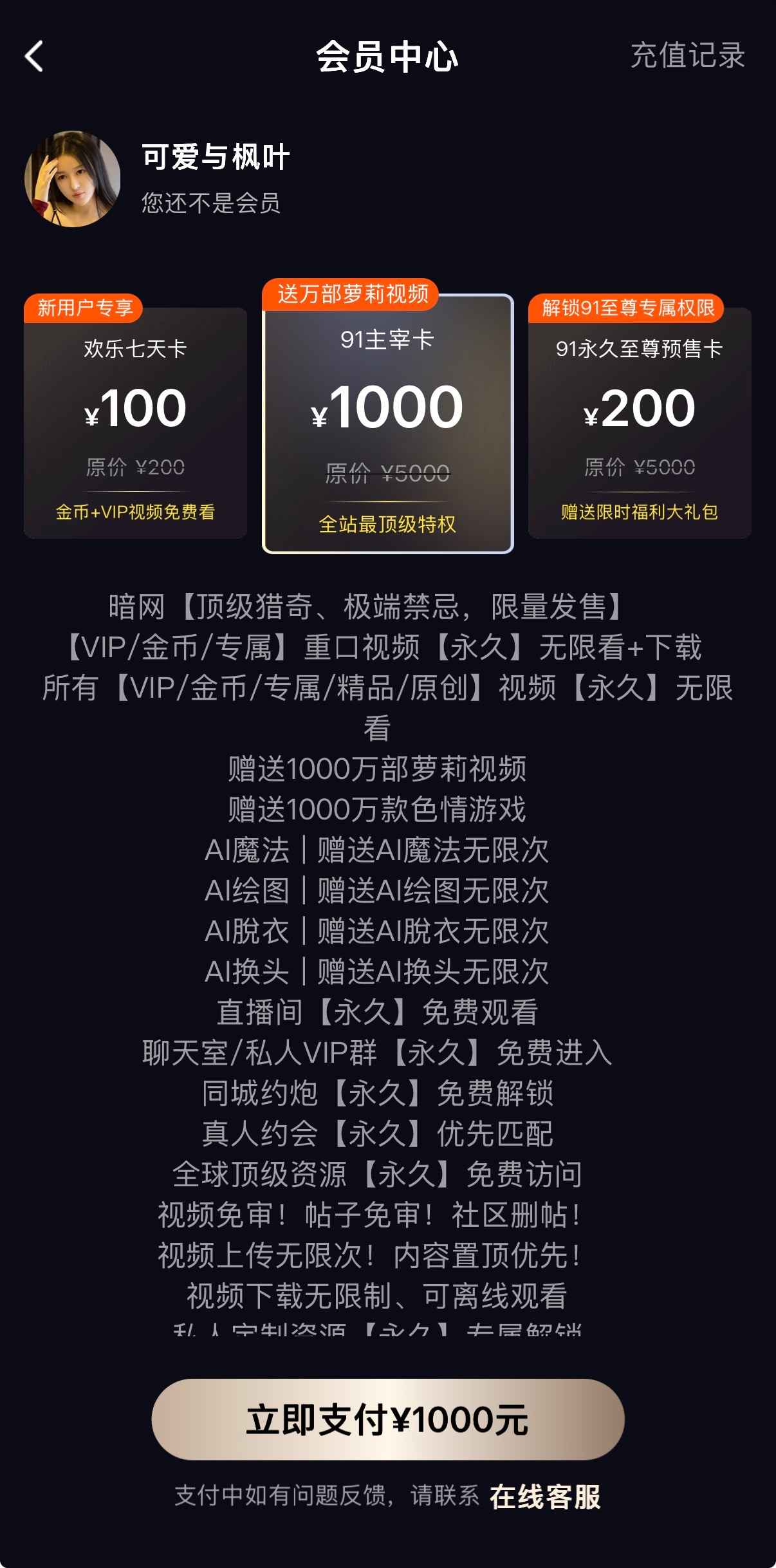 91PORN会员中心VIP权益界面截图